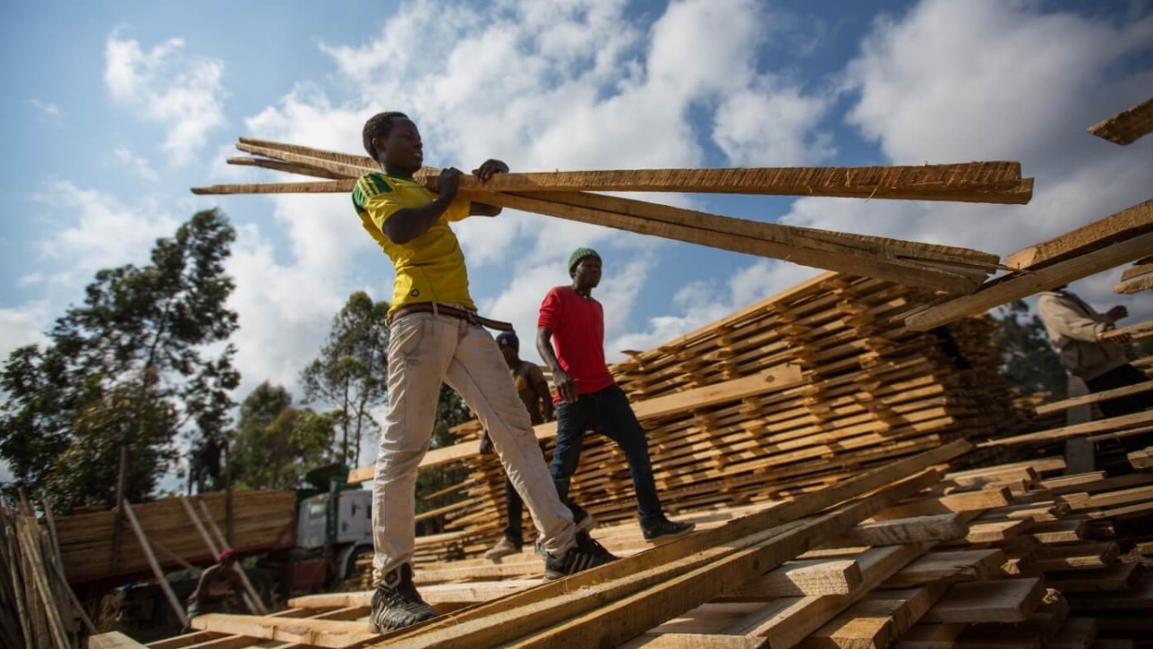 Tanzanian Forestry Sector | Africa | Gatsby